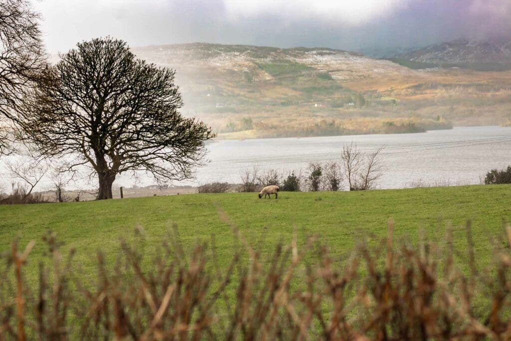 Lough Eske in Donegal: Enjoy nature and tranquility this summer in Ireland 2022