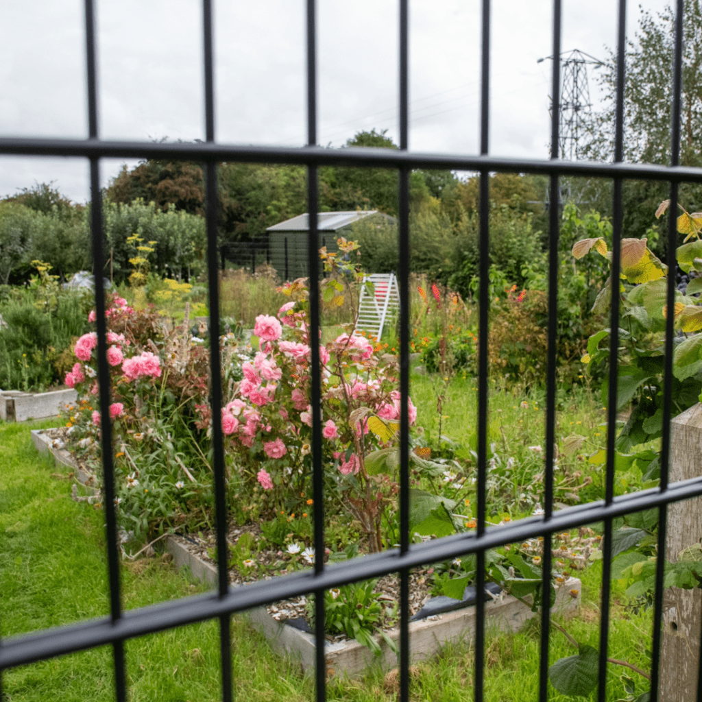Broadmeadow Community Garden's participation entry in MFCU Community Garden competition in 2023