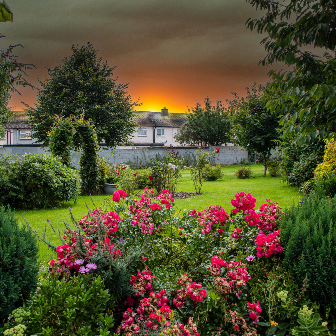 Donaghmede Drive Community Garden's participation entry in MFCU Community Garden competition in 2024